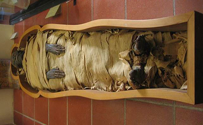 مومیایی‌ها