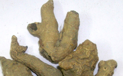 زُرنباد