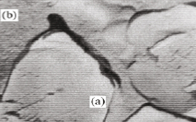 خواص دانه ها