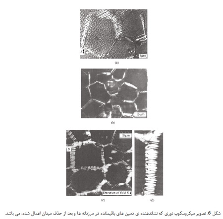 مرزدانه ها در سرامیک های  PLZT