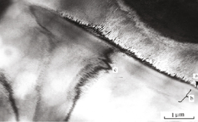 مرزدانه ها در سرامیک های  PLZT