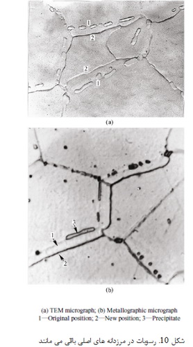 مهاجرت مرزدانه ای مرکز گرا و خارج مرکز
