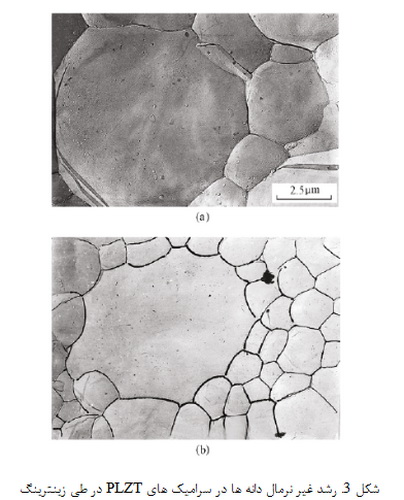 مهاجرت مرزدانه ای مرکز گرا و خارج مرکز