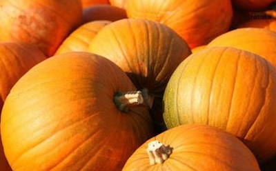  کدو - مطالبی درباره کدوها