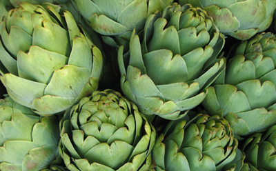 کنگر فرنگی - آرتیشو 