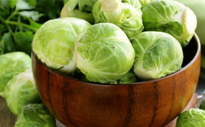  کلم پیچ برگی