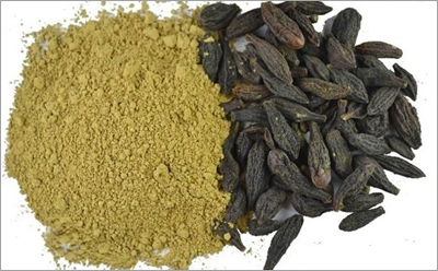 هلیله کابلی