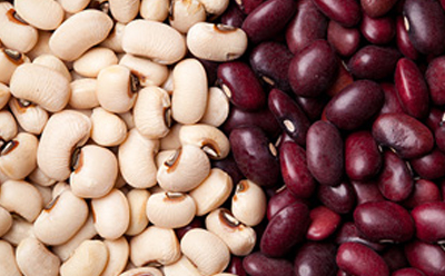  لوبیا سفید - لوبیا قرمز