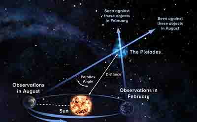 عجیب‌تر از او ندیدم!