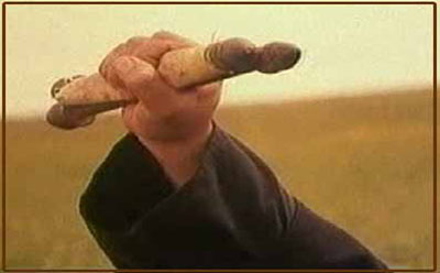 اگر ادامه می‌دادم، شهید شده بودم!