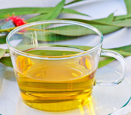 دم‌نوش اوکالیپتوس