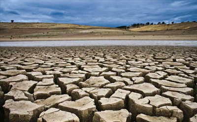 مقاومت در برابر خشکسالی