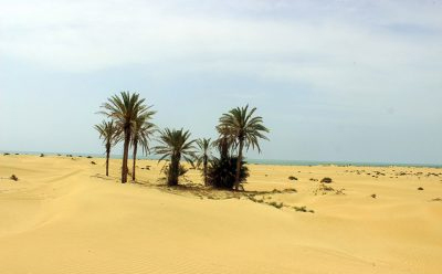  مقبره‎ی ابراهیم نمکی 