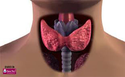 
   رژیم غذایی مخصوص پر کاری تیروئید