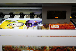 نمایشگاه بین المللی دوربین های دیجیتال، هنر عکاسی و تجهیزات وابسته  