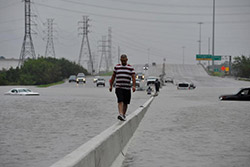 طوفان هاروی