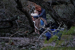 طوفان هاروی