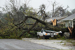 طوفان هاروی