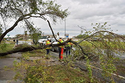 طوفان هاروی