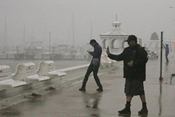 طوفان هاروی