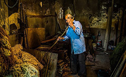 گزارش تصویری / رنگرزی سنتی - سنندج رنگرزی سنتی