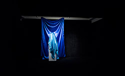 مراسم رونمایی از سردیس شهید محسن حججی 