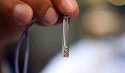   بخش صنایع دستی نمایشگاه بین‌المللی قرآن کریم  