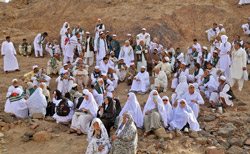  زیارت «دوره» در مدینه منوره 