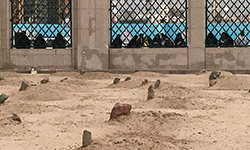  زیارت قبور بقیع 