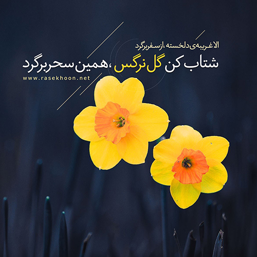 مجموعه عکس نوشته میلاد امام زمان عجل الله تعالی فرجه الشریف