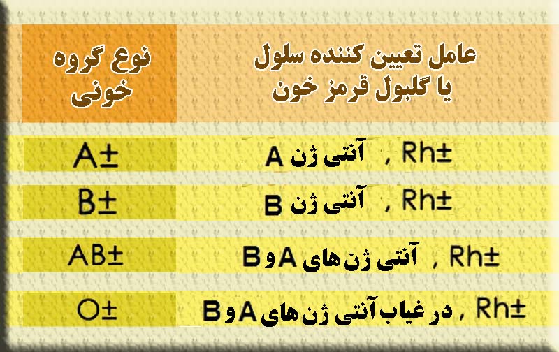 جدول انواع گروه خونی