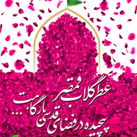 پویش امامزادگان سرزمین من پویش امامزادگان سرزمین من