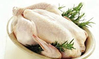 در ستايش گوشت مرغ