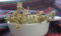 ترشی رازیانه