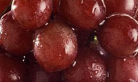 ترشی انگور