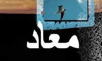   طعم مرگ