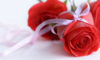 احترام شوهر