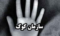 سازمان کوک