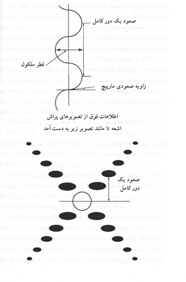 کریک، واتسون و دی ان ای (2) 