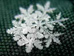 چرایی شکل‌های متفاوت دانه‌های برف 