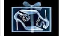 شکستنی