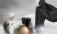  فرصت زنانه