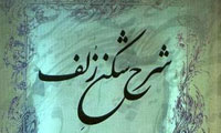 شرح شكن زلف