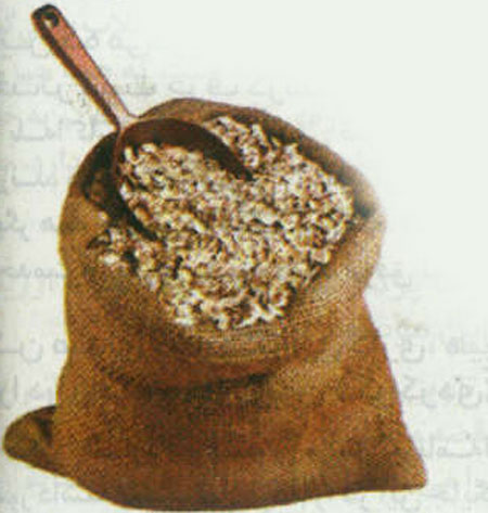9 ماده ی غذایی چربی سوز