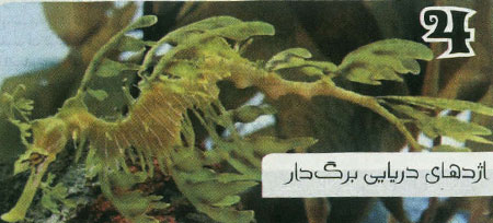 7 جانور گیاه نما