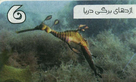 7 جانور گیاه نما