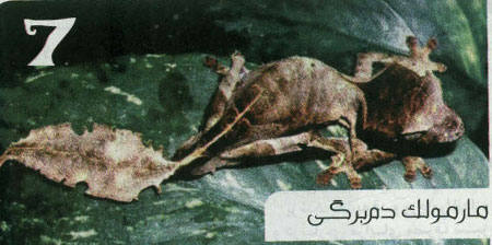 7 جانور گیاه نما
