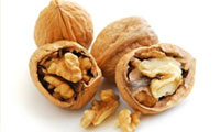 خواص گردو