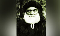علیه اشغالگران 