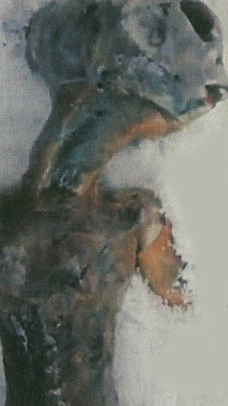 مهمانان ناخوانده زمین